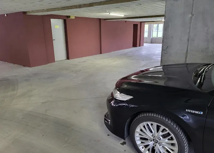 Modernus Butas Klaipėda